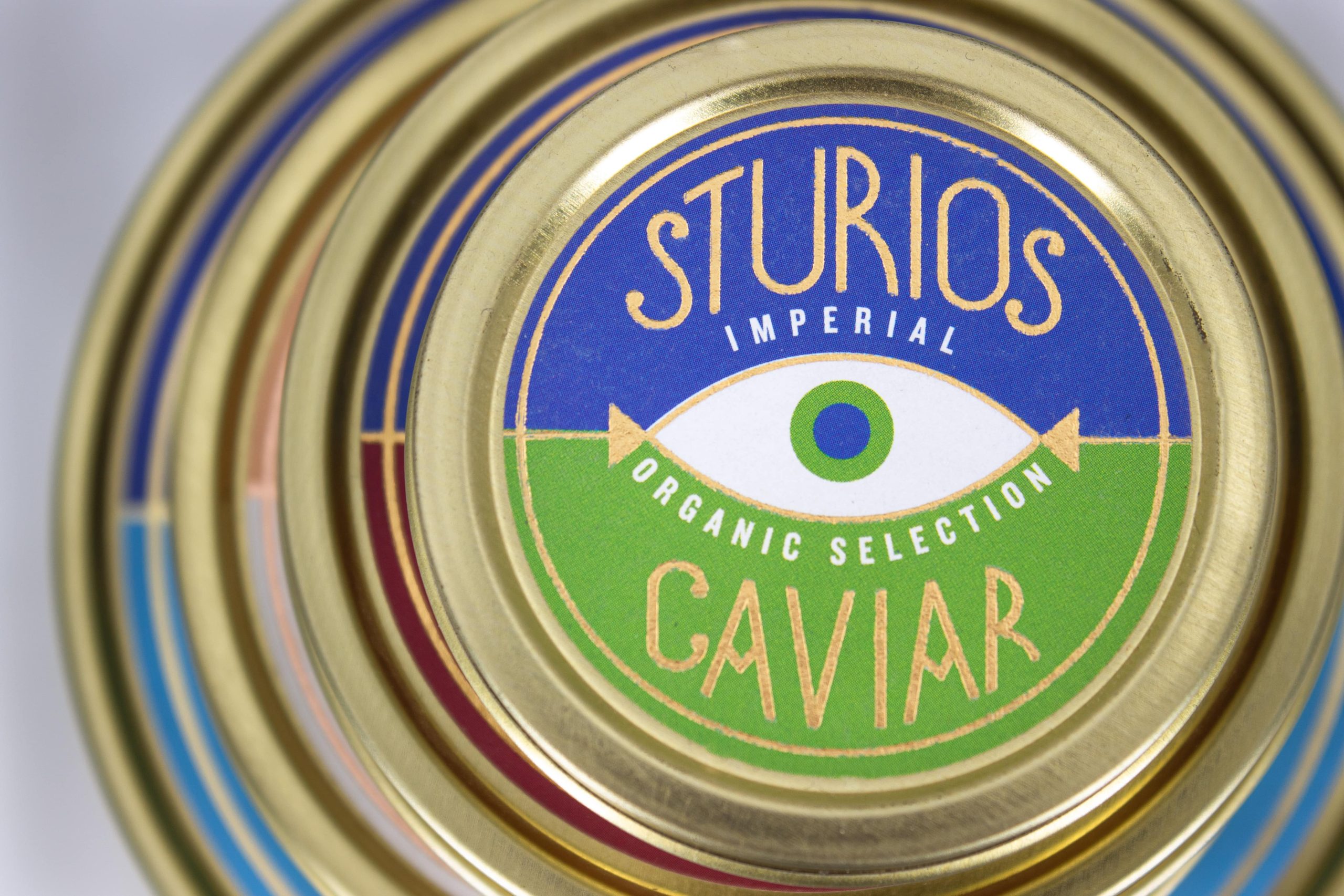 portfolio mr adhesivos21